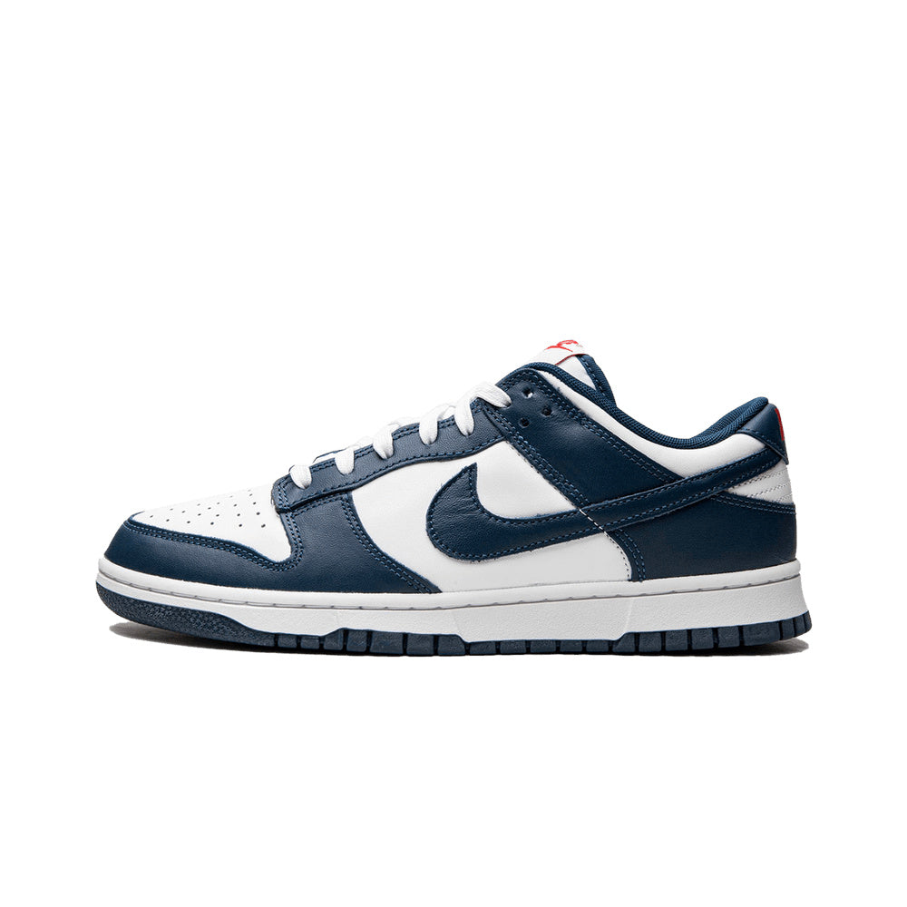 Nike Dunk Low valerian Blue